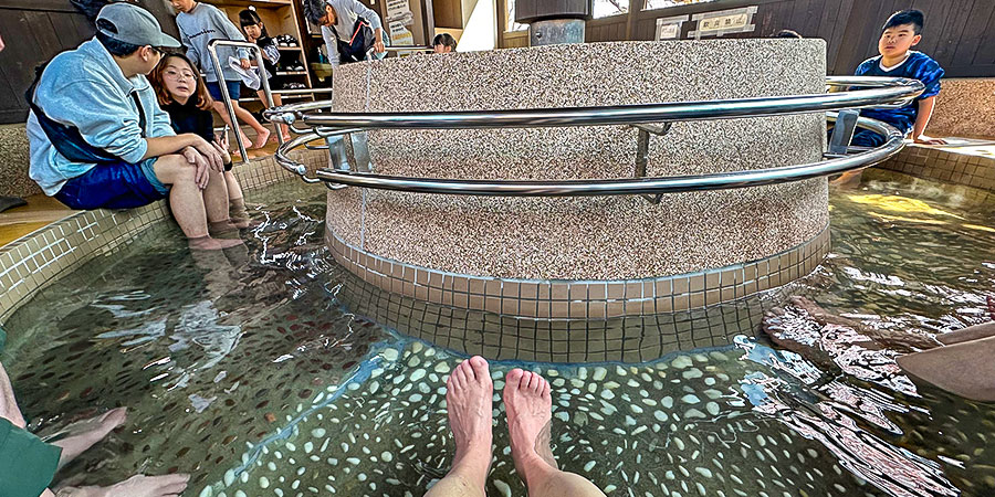 Enjoying Hirosaki Hot Spring