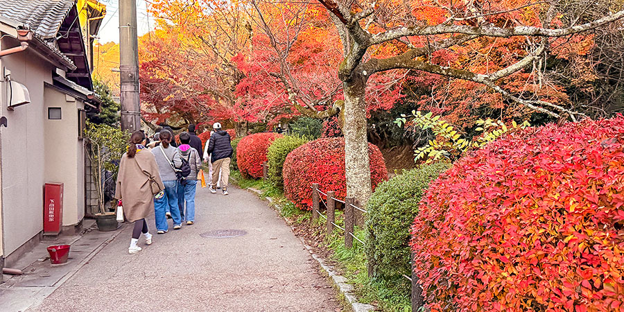 Autumn Views in Hirosaki Park