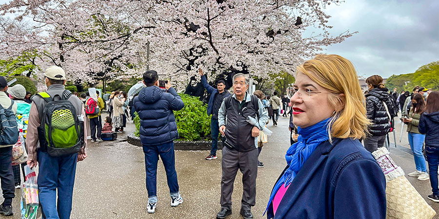 Hirosaki Park on Overcast Day