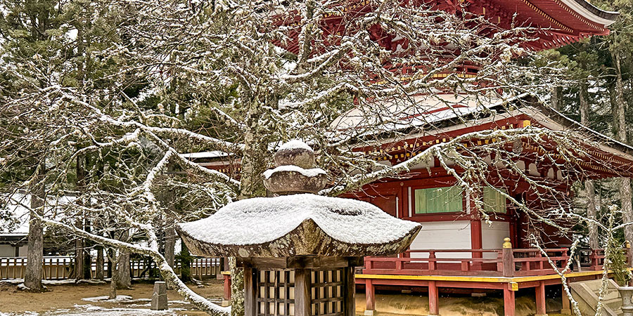 Hirosaki on Snowy Day