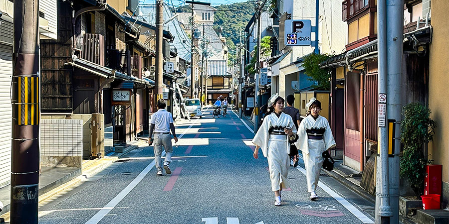 Hanging Out on Sunny Day