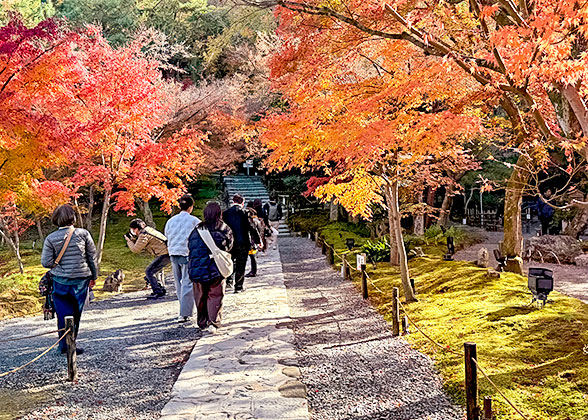 Hiroshima Autumn View