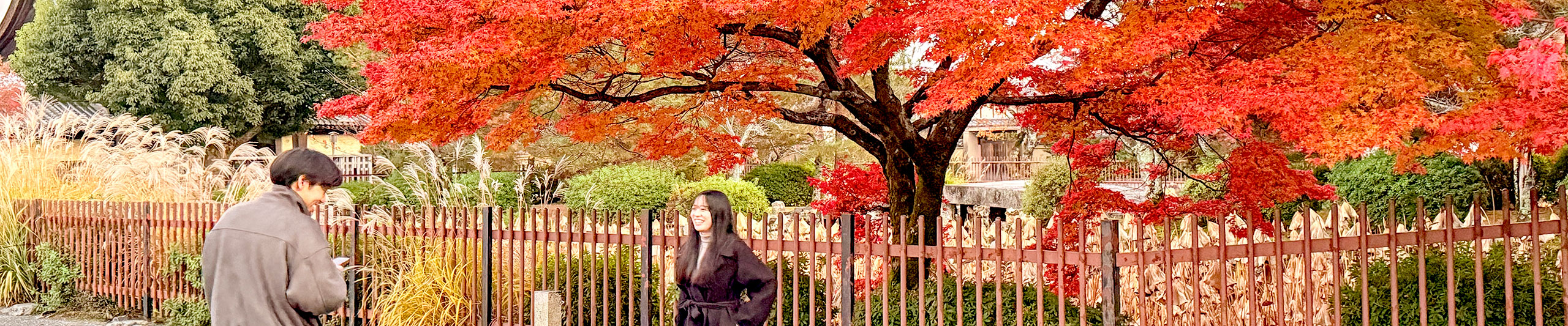 Hokkaido Autumn View