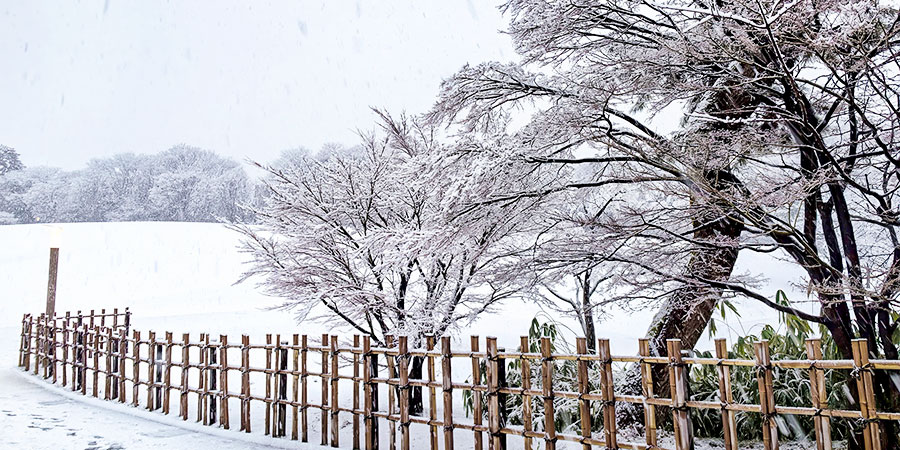 Japan Weather in January