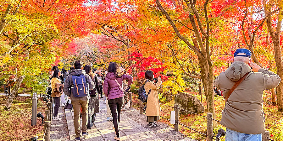 Horyuji Temple in Autumn