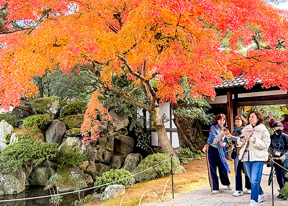 Imperial Palace in Autumn