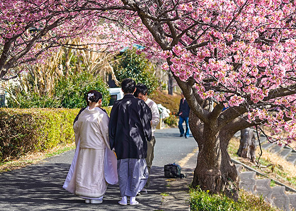 Goryokaku Park, Hakodate in Hokkaido