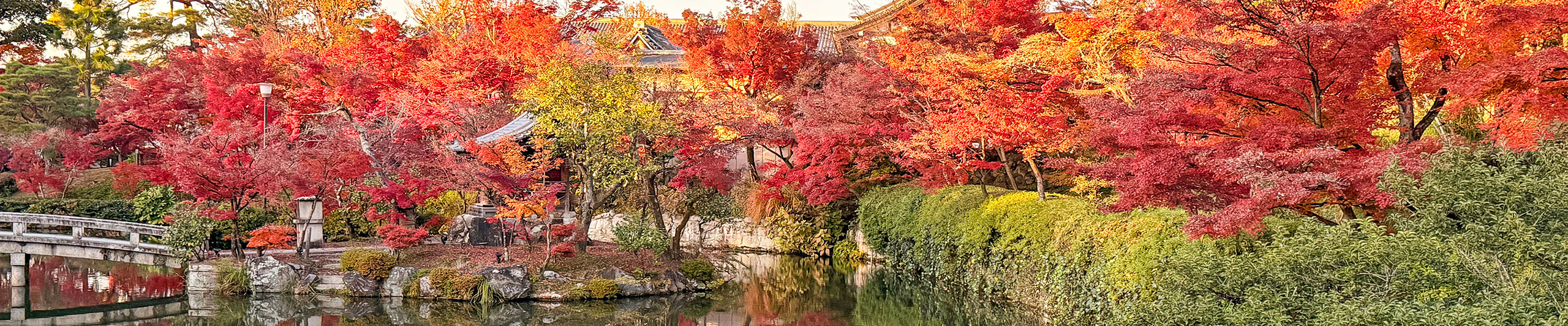Izu Autumn Colors Izu Autumn Colors