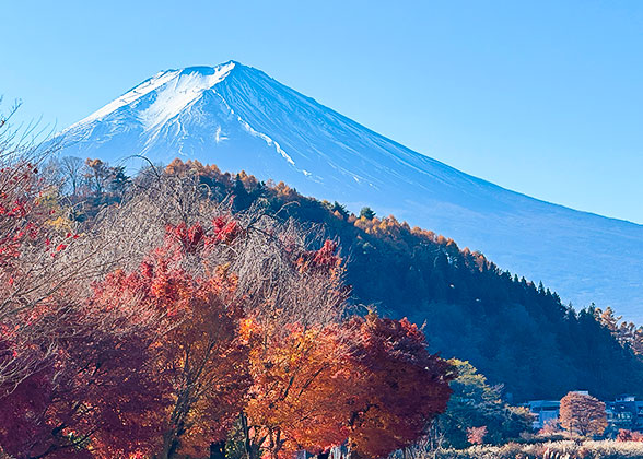 Snowcapped Mount Fuji
