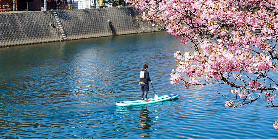 Boating amid the Cherry Blossoms