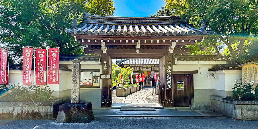 Sunny and Warm Kyoto in April