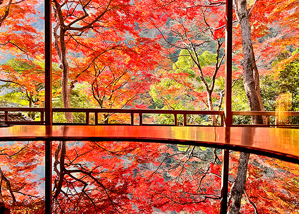 Japan in Autumn