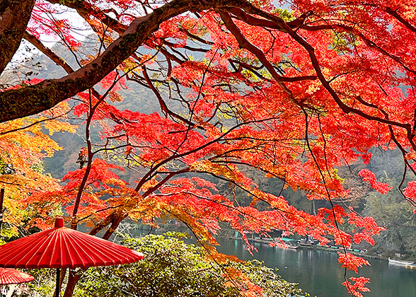 Japan in Autumn