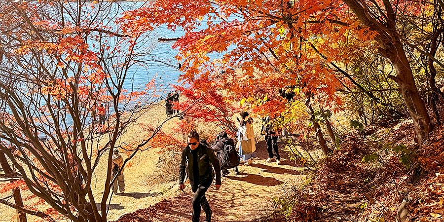 Sunny November with Beautiful Autumn Leaves