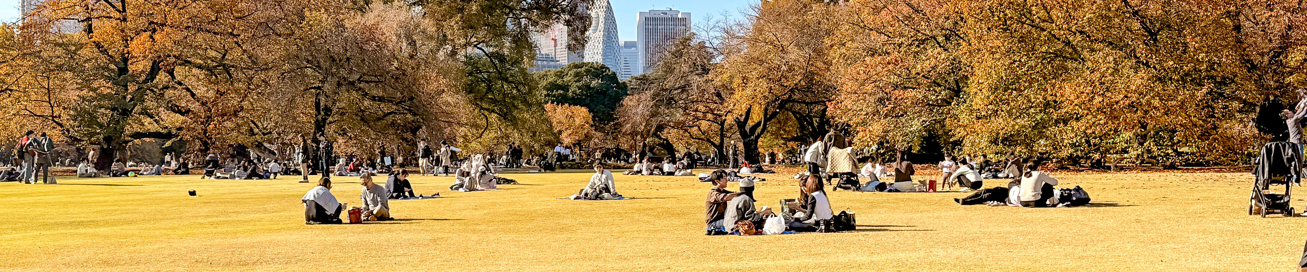 Japan November Weather Japan November Weather