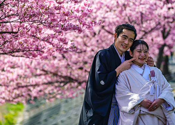 Visitors in Kiyomizu-dera Temple in Spring
