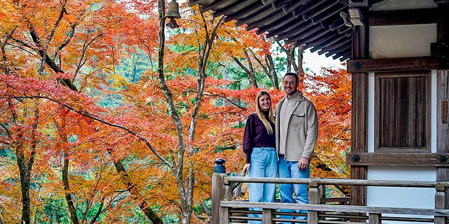 Kagoshima Autumn Foliage