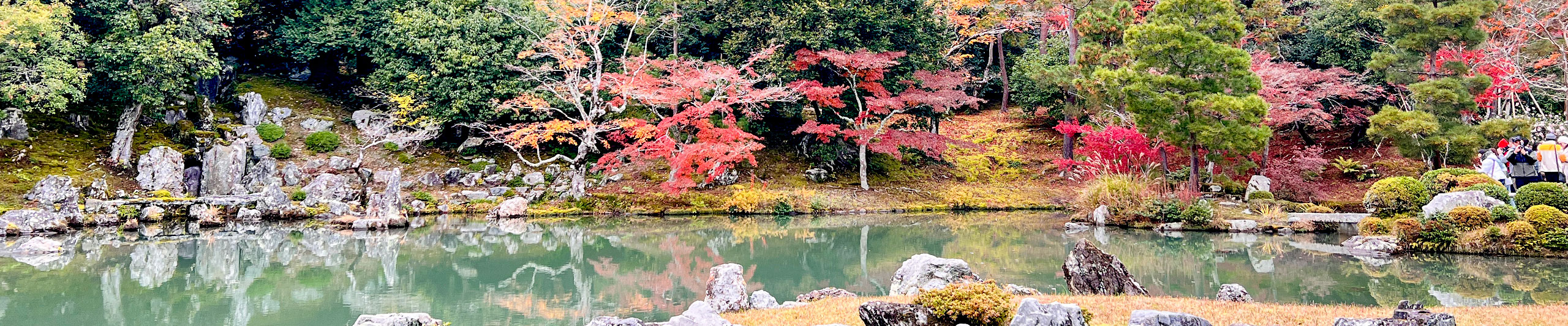 Beautiful Autumn Leaves in Kagoshima Beautiful Autumn Leaves in Kagoshima