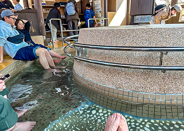 Enjoy Hot Spring in Winter