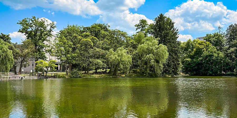 Kagoshima in Sunny May
