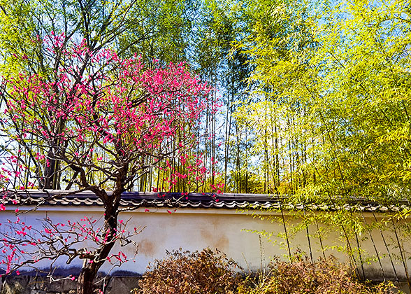 Early Spring in Late February