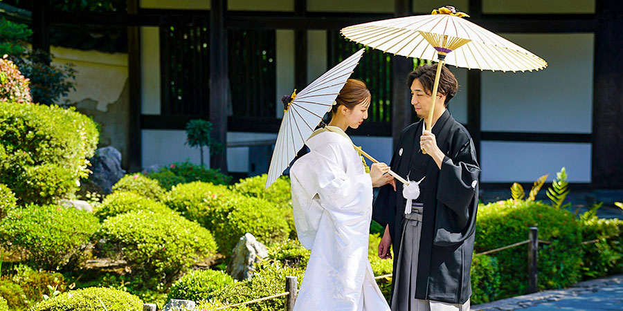 Intense Sunlight in August