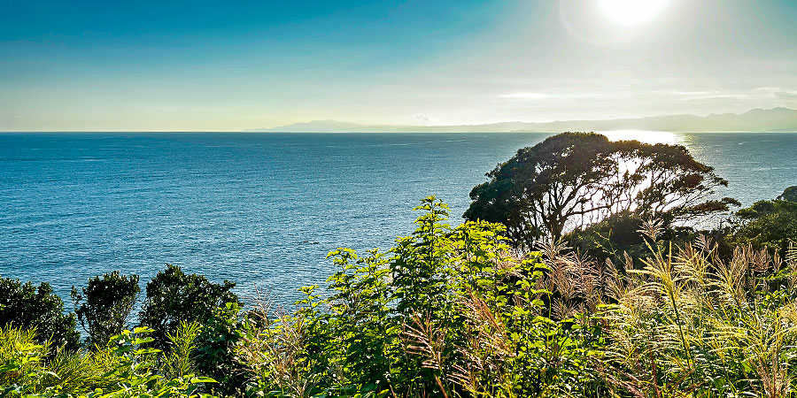 Stunning View at Enoshima Island