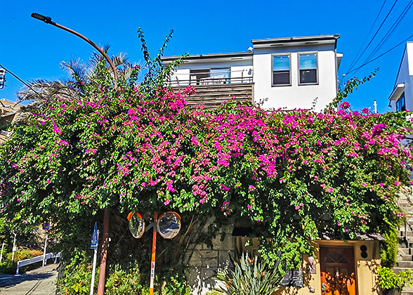 Lovely Weather in May