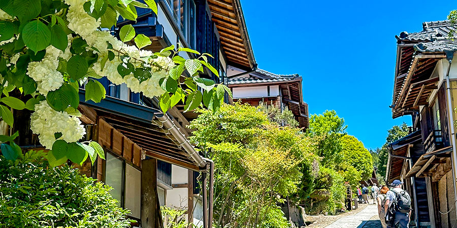 Summer Days in Kamakura