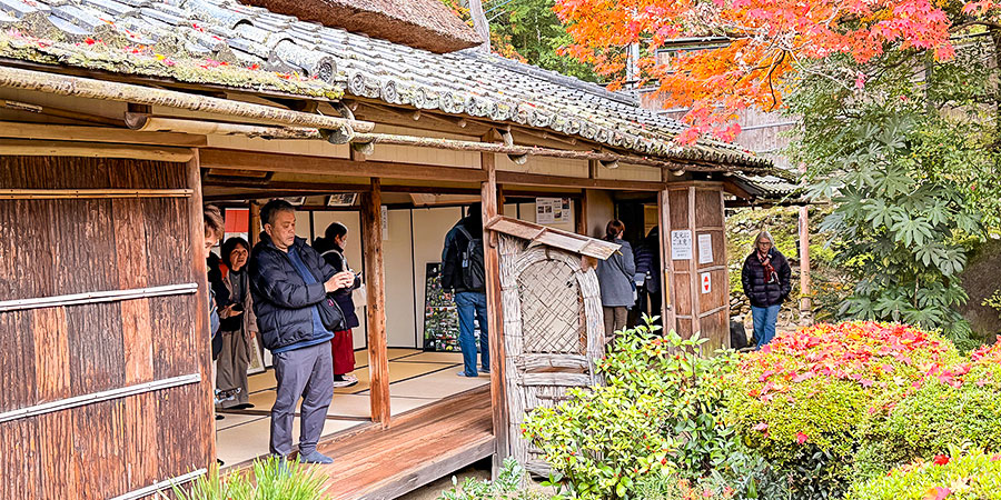 Colorful Garden View