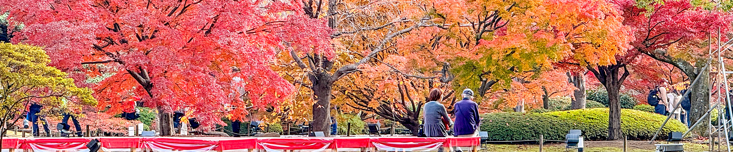 Kanazawa Colorful Leaves