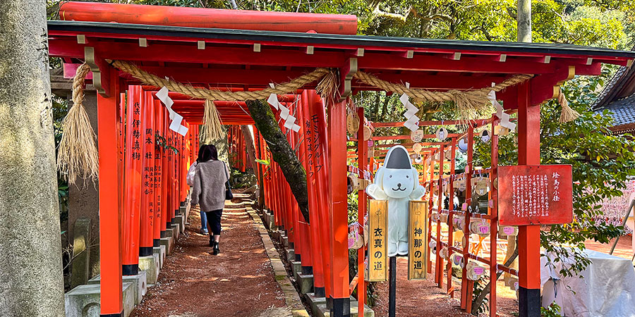 Torri Gates of Ishiura Shrine