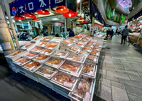 Seafood in Omicho Market