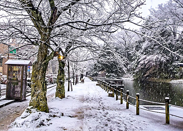 Kanazawa Streetscape on Snowy Day
