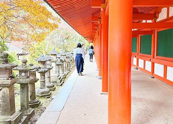 Kasuga Taisha Shrine in Autumn