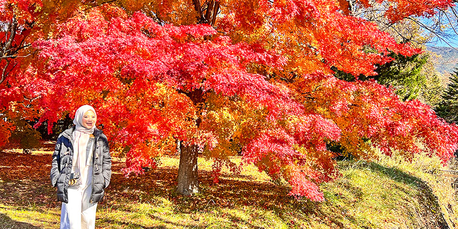 Red Leaves near Lake Kawaguchi