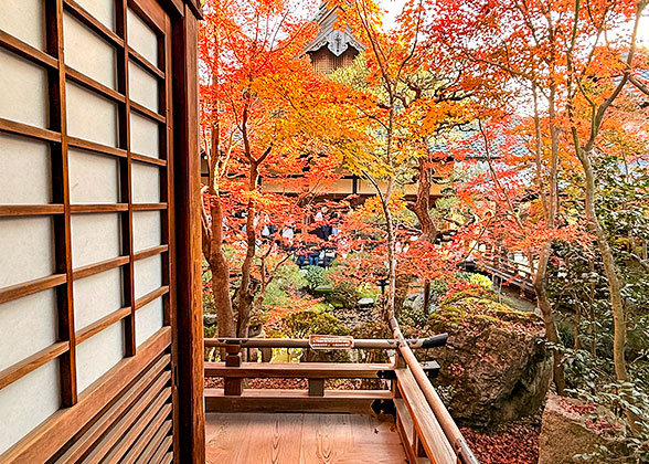 Kennin-ji Temple in Autumn