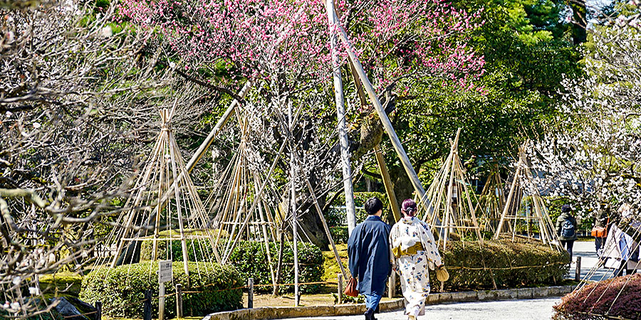 Spring View of Kenroku-en Garden