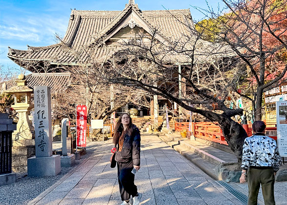 Kimiidera Temple in Late-December