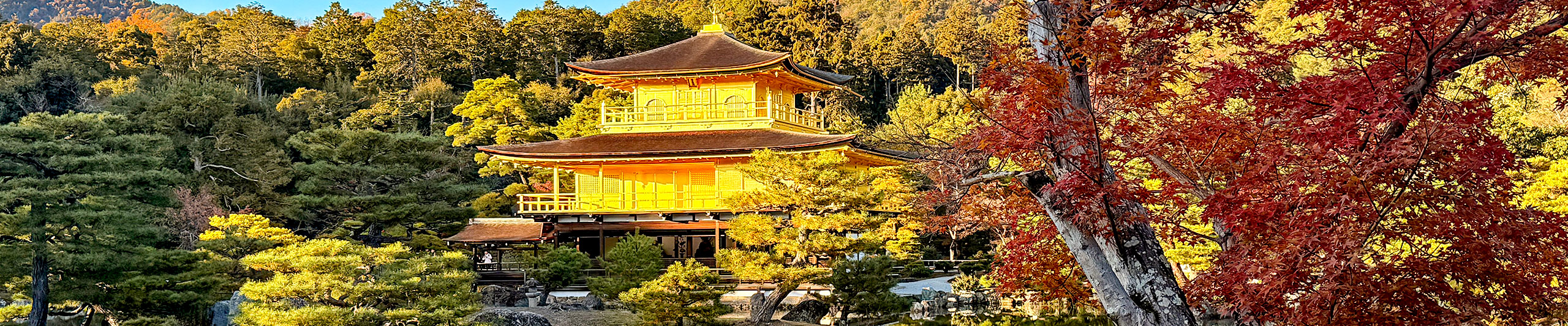 Kinkaku-ji Temple in Red Foliage Season Kinkaku-ji Temple in Red Foliage Season