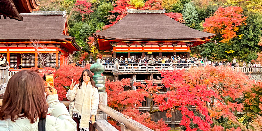 Kiyomizu-dera Temple in Red Foliage Season