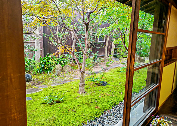 Autumn View in Kobe