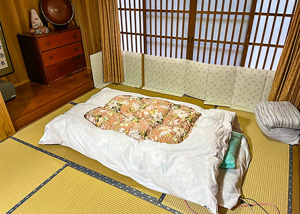 Hot Spring Hotel Room
