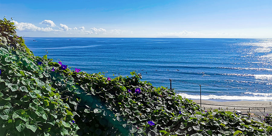 Lovely Beach View
