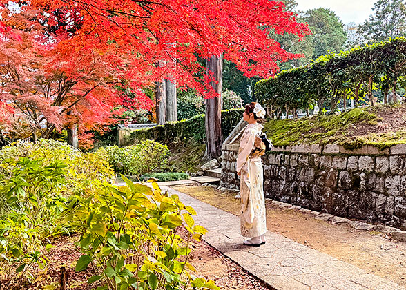 Red Leaves in Ikuta Jinja