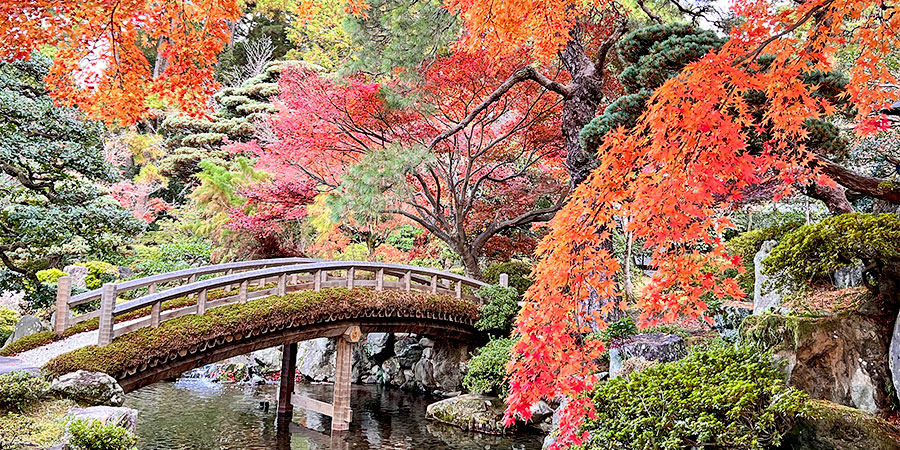 Mount Rokko in November