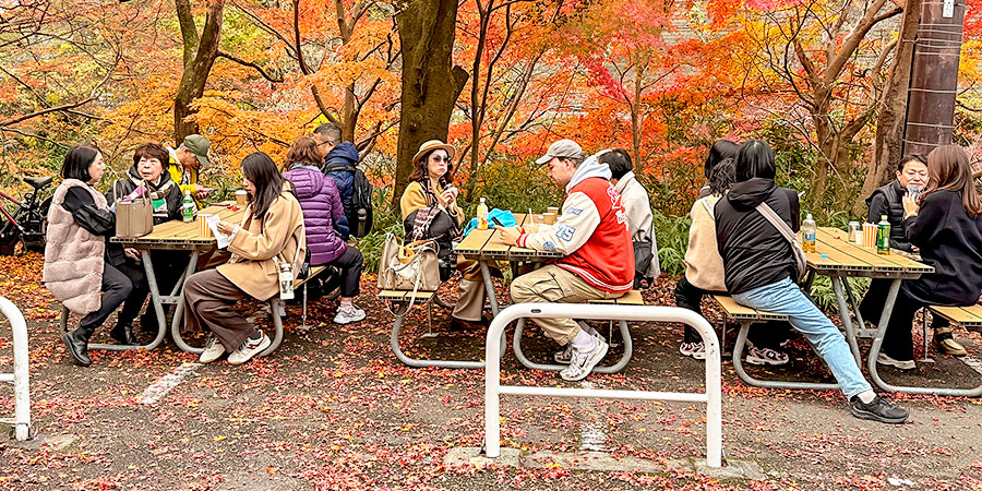 Peak Fall Foliage View at Kobe