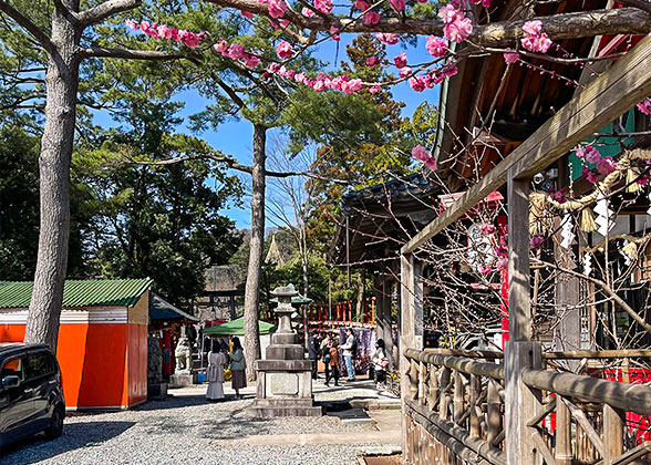 Kobe Street in Spring
