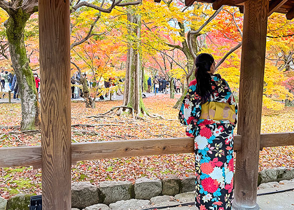 Kofukuji Temple in Autumn