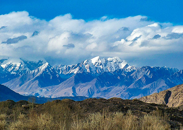 Korgalzhyn Nature Reserve